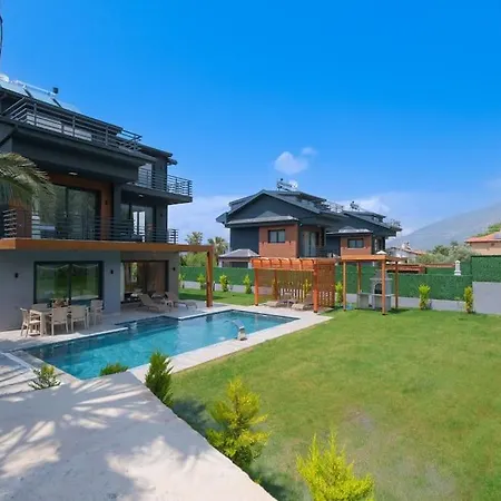 Moni *